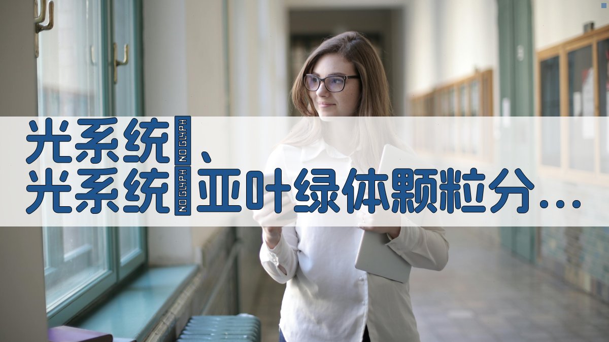 光系统Ⅰ、光系统Ⅱ亚叶绿体颗粒分离研究助手