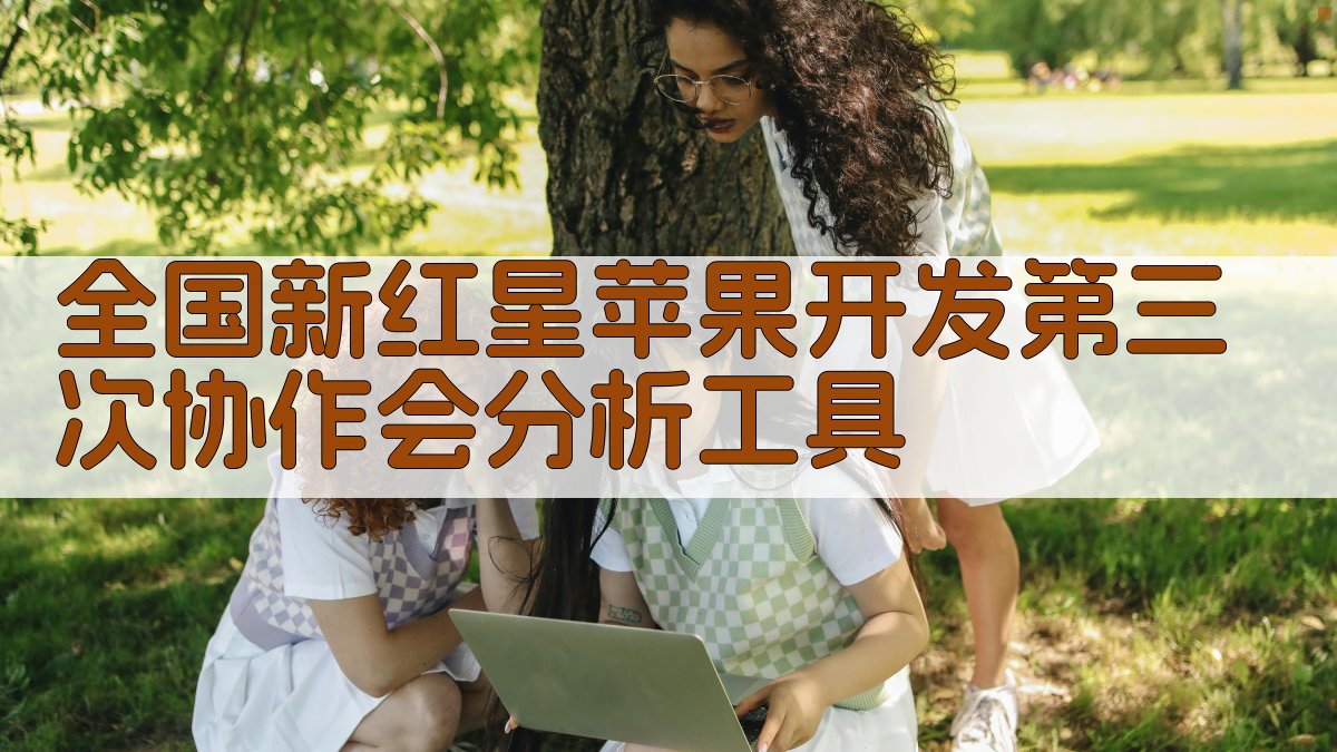 全国新红星苹果开发第三次协作会分析工具