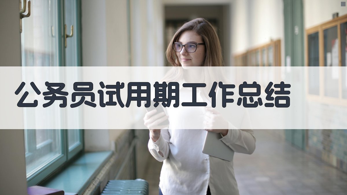 AI公务员试用期工作总结