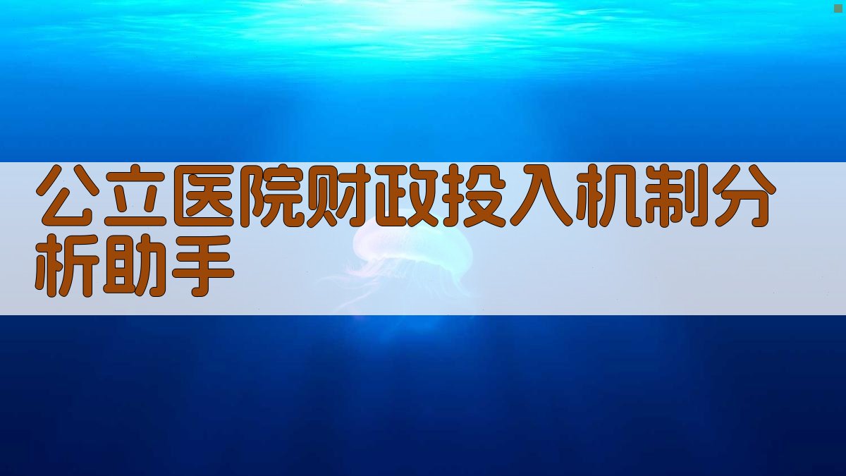 公立医院财政投入机制分析助手