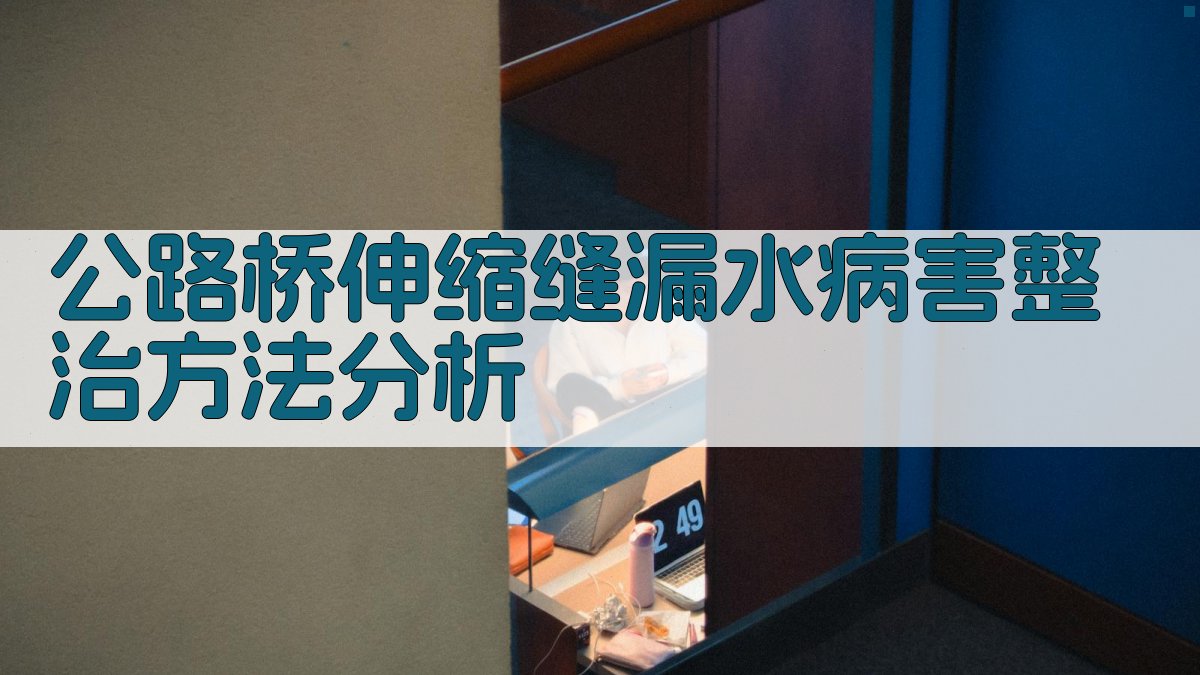 公路桥伸缩缝漏水病害整治方法