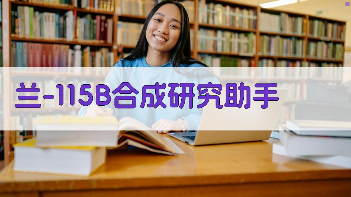 兰-115B合成研究助手