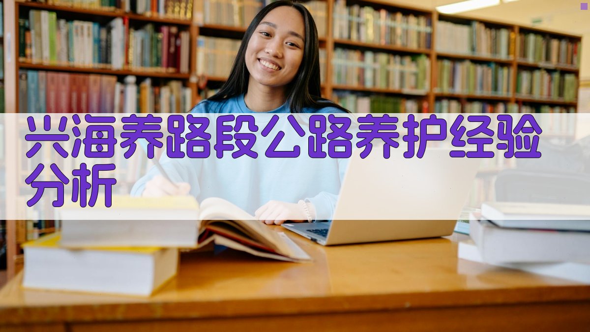 AI兴海养路段公路养护经验分析