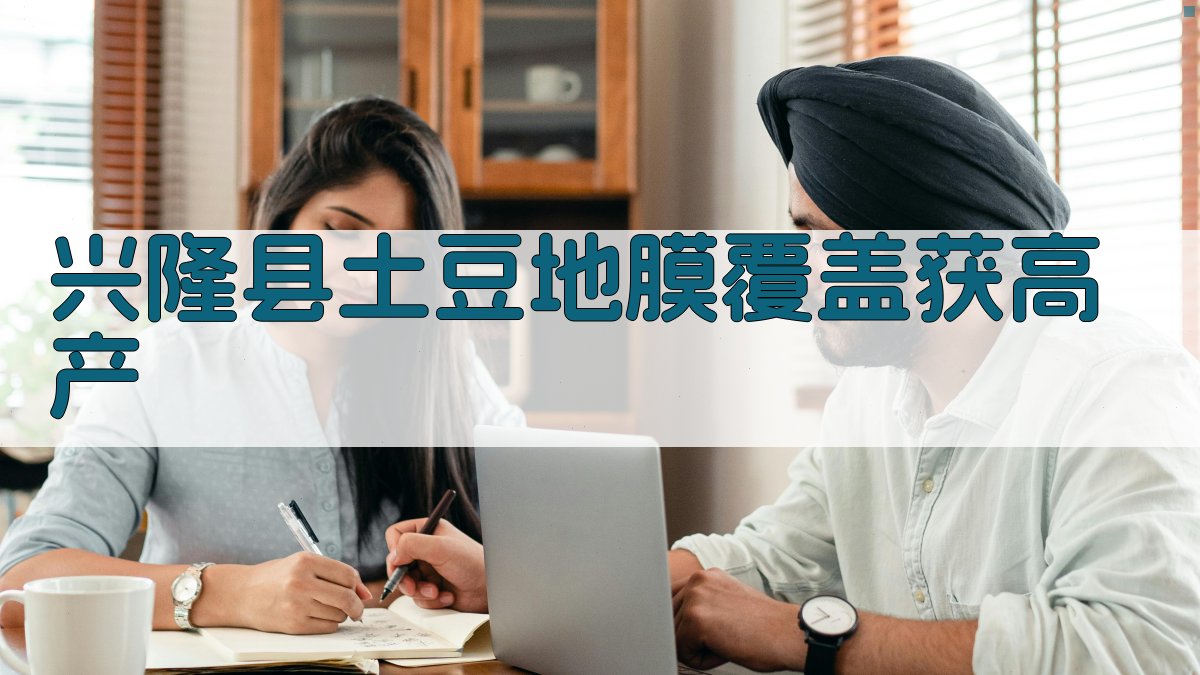 兴隆县土豆地膜覆盖获高产