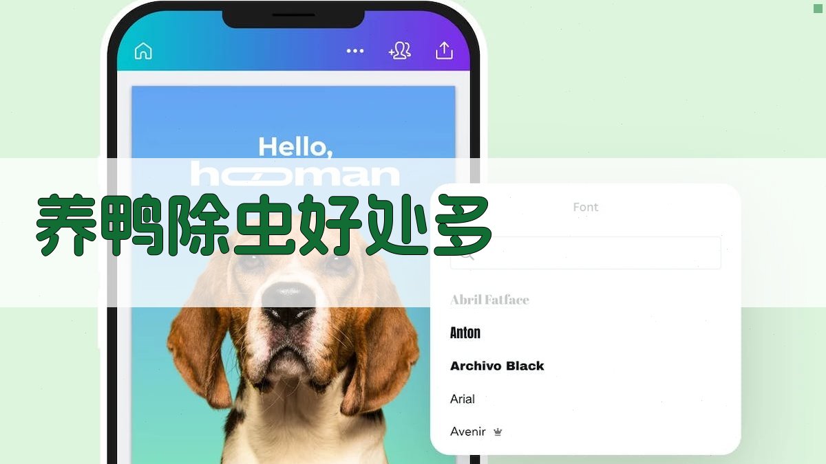 AI智能养鸭除虫好处分析器