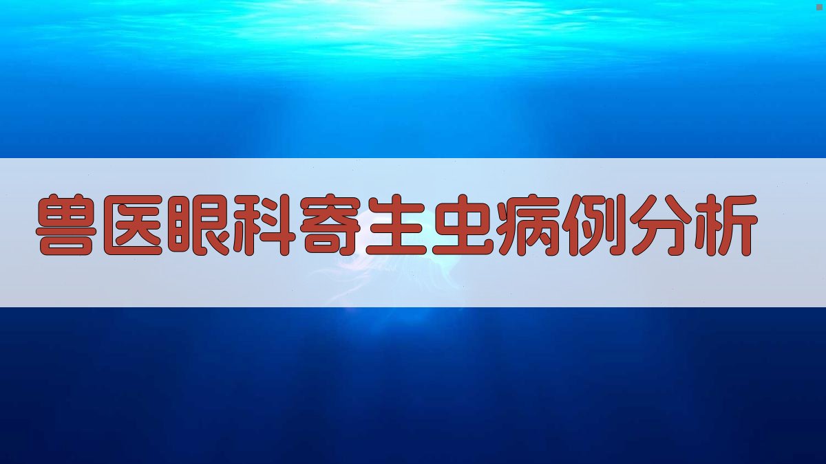 兽医眼科寄生虫病例分析