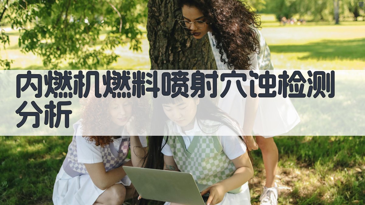 内燃机燃料喷射穴蚀检测分析