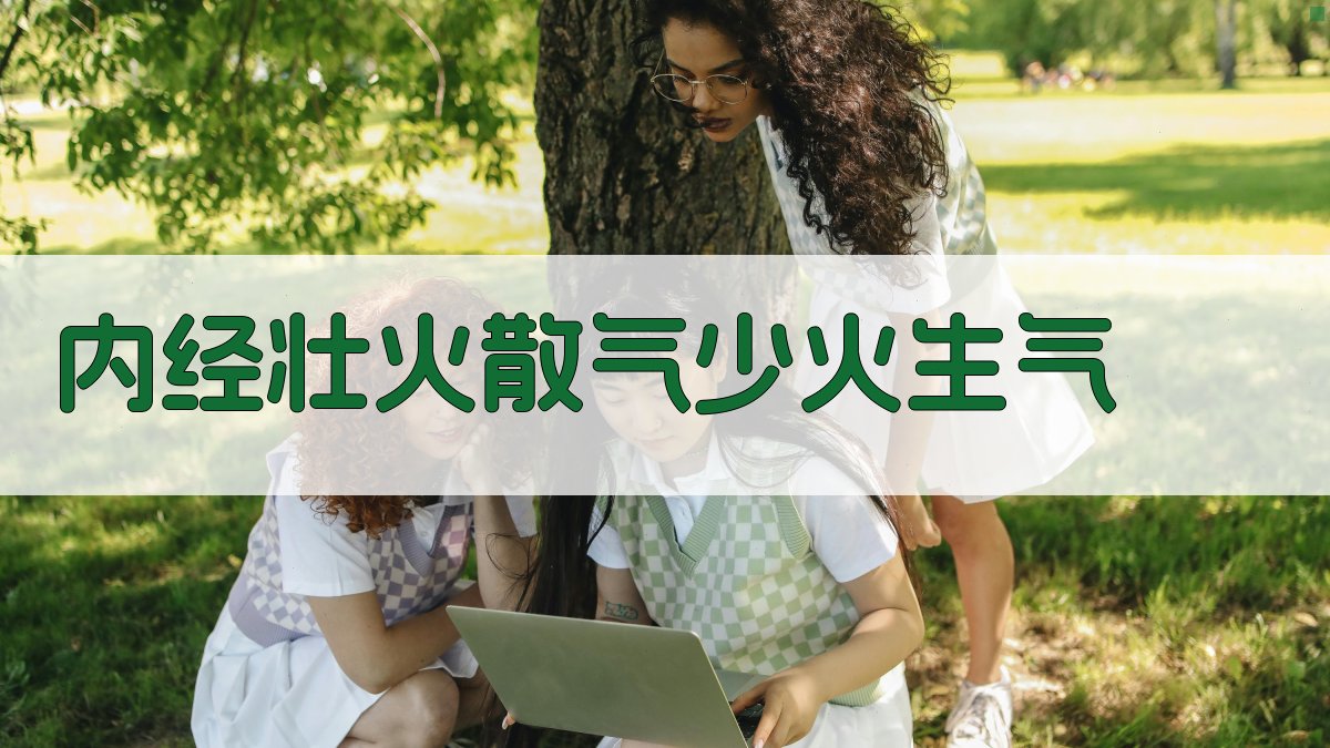 内经壮火散气少火生气研究助手