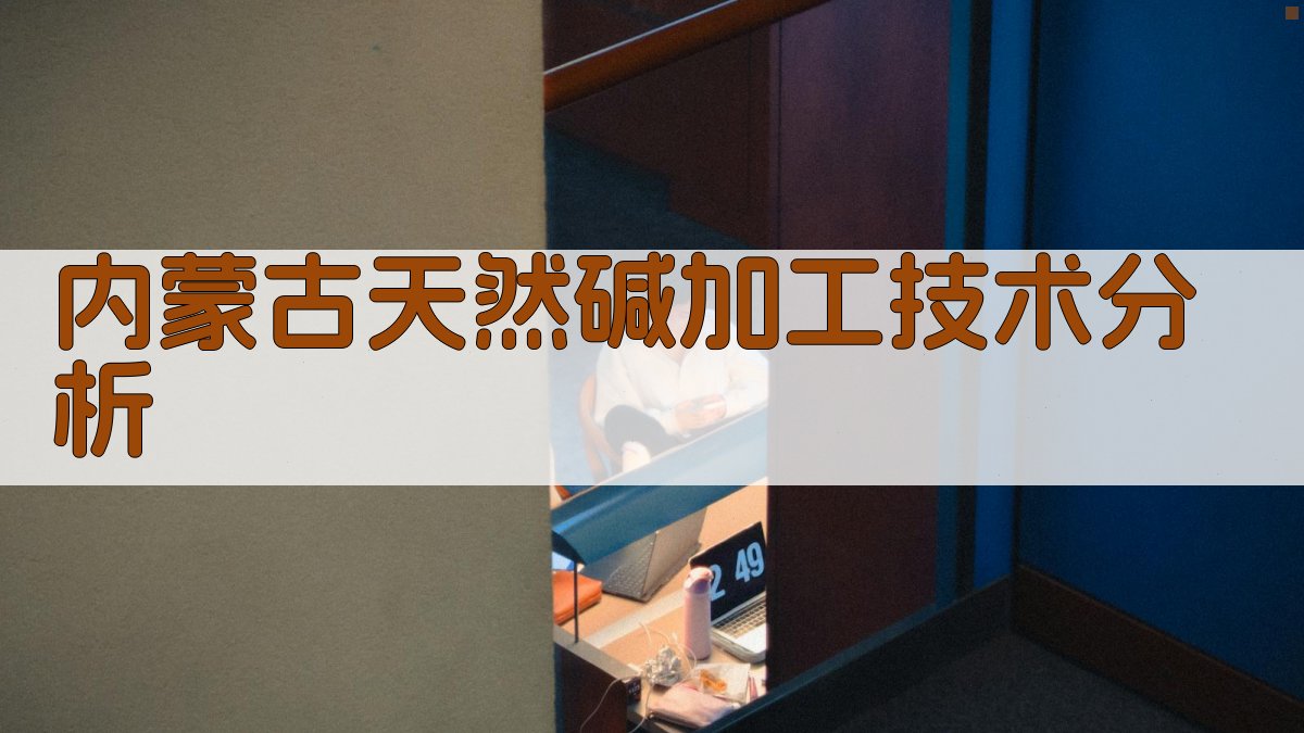 内蒙古天然碱加工技术智能分析
