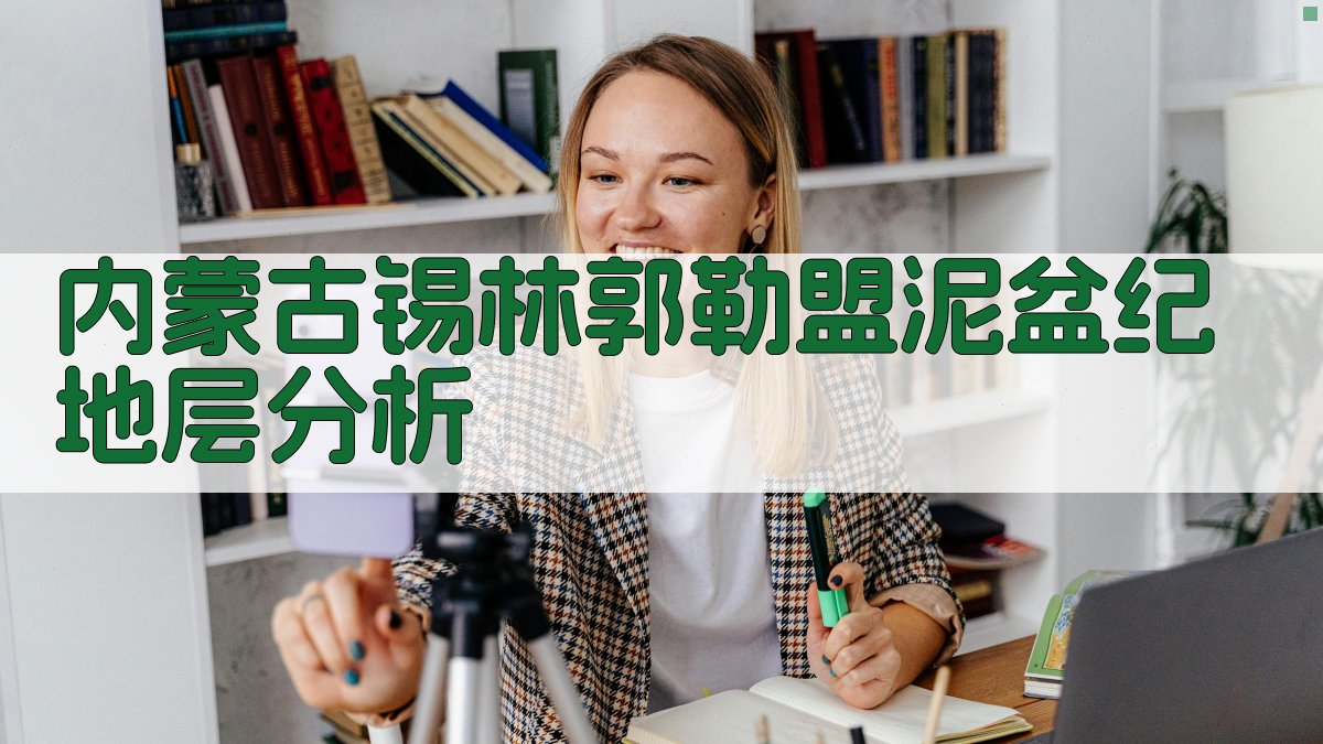 内蒙古锡林郭勒盟泥盆纪地层分析