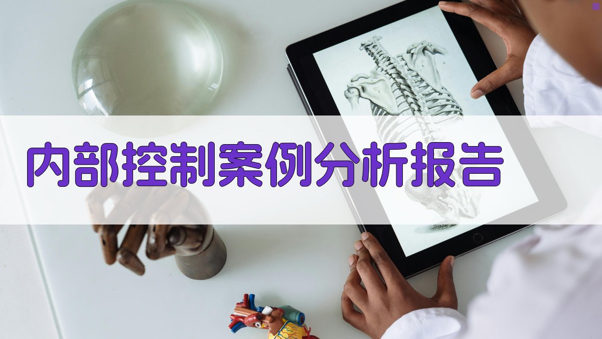 AI一键生成内部控制案例分析报告