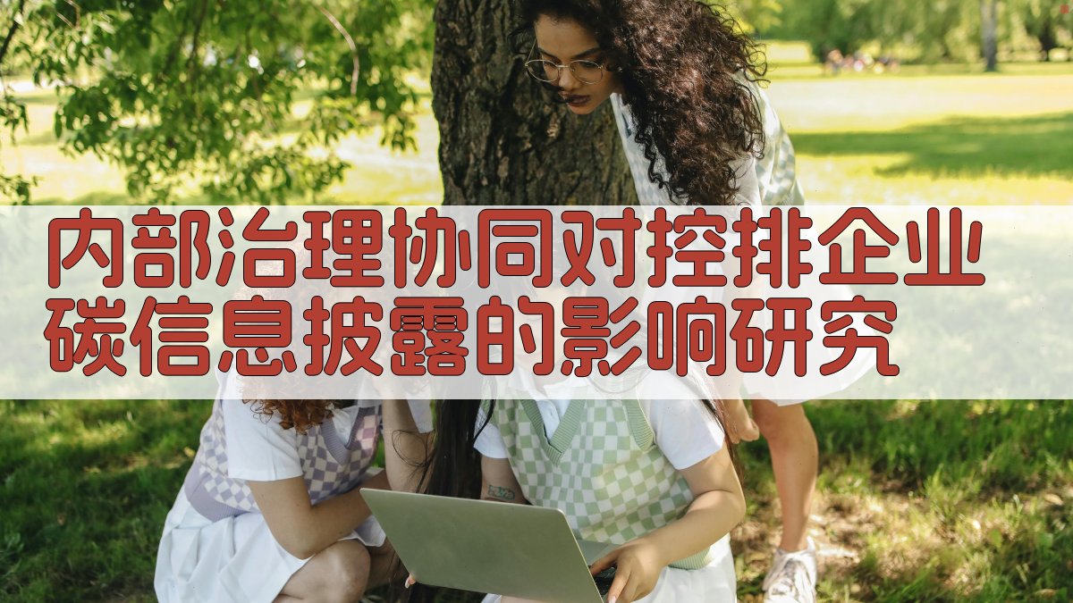 内部治理协同影响研究
