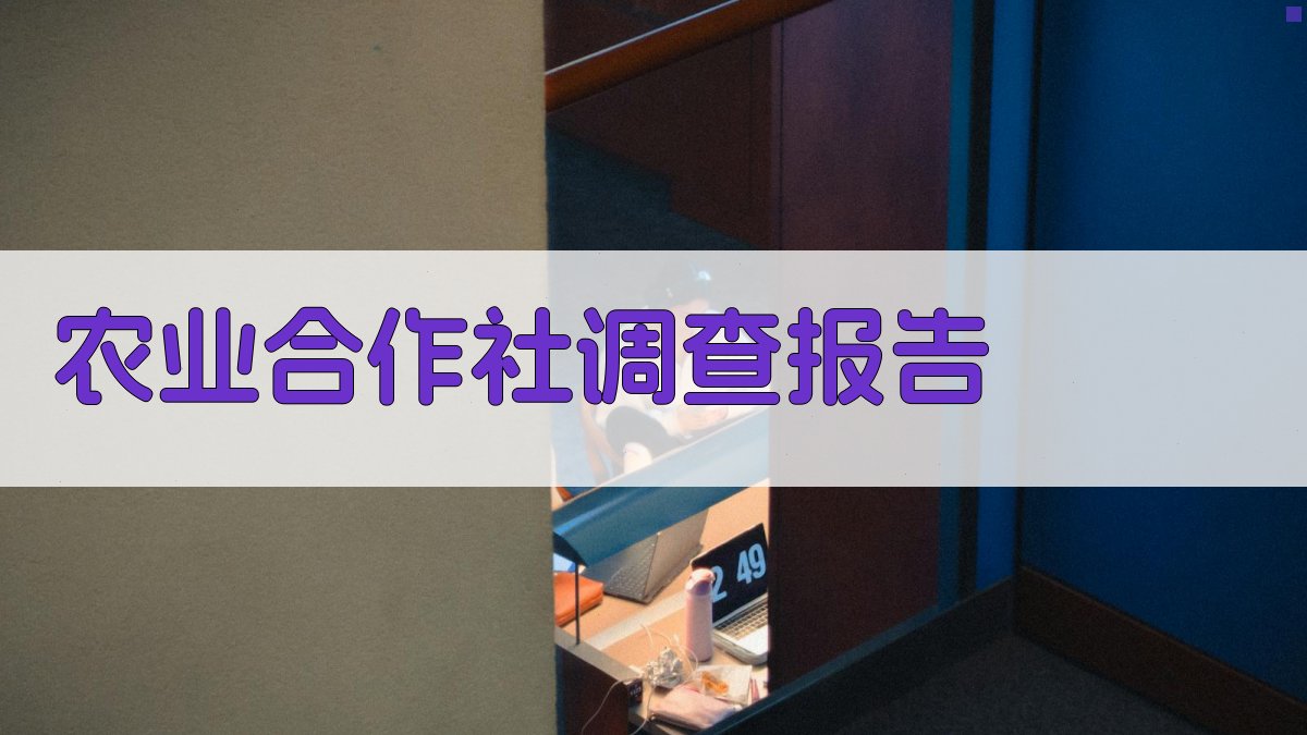 农业合作社调查报告