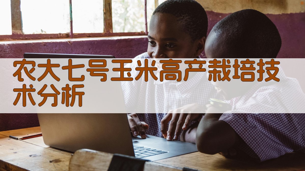 农大七号玉米高产栽培技术分析