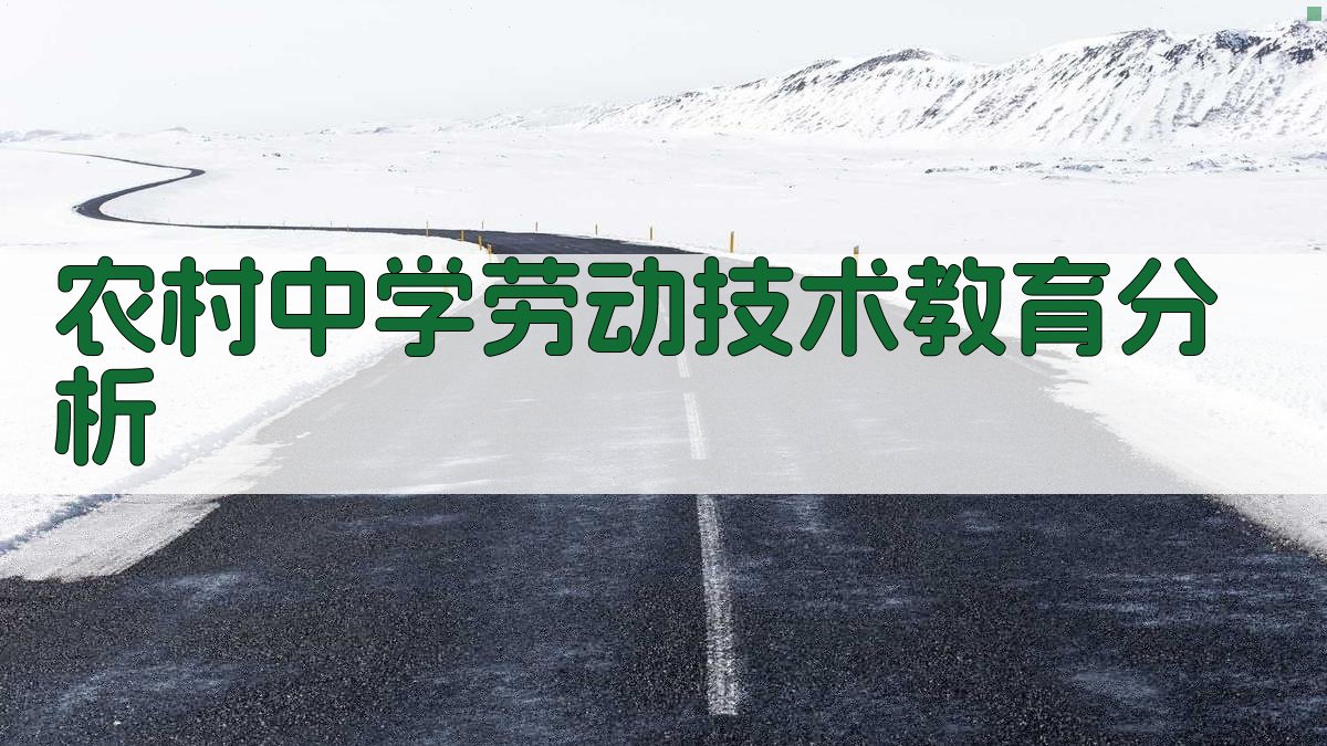 AI农村中学劳动技术教育分析