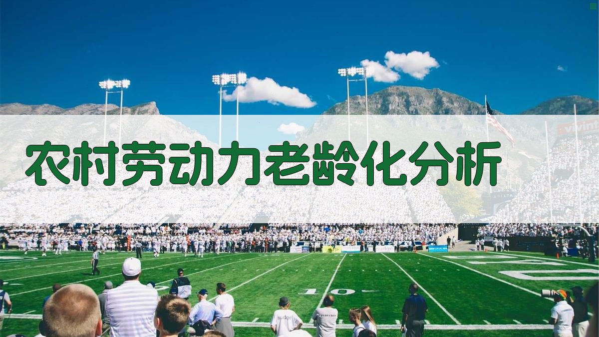 农村劳动力老龄化与耕地碳排放影响分析