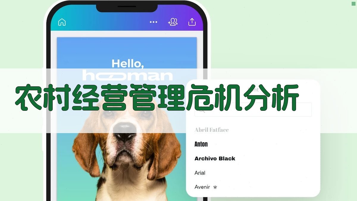 农村经营管理危机分析