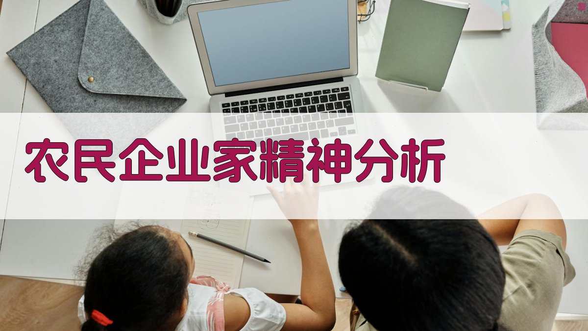 农民企业家精神分析