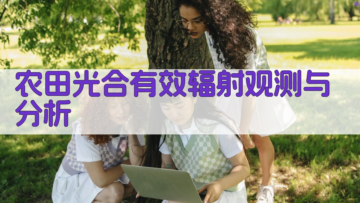 AI农田光合有效辐射观测与分析