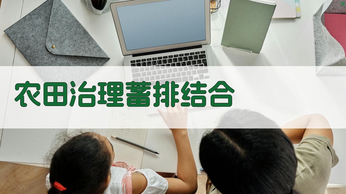 AI智能农田蓄排结合策略分析