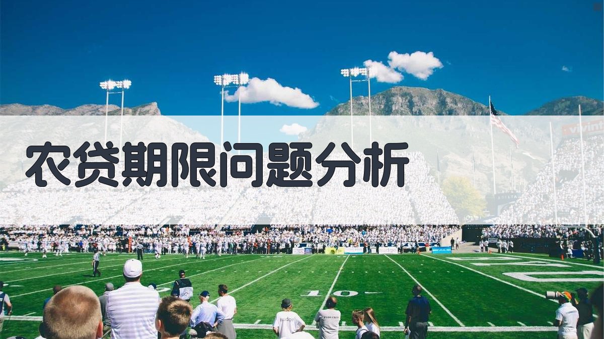 AI农贷期限问题分析工具