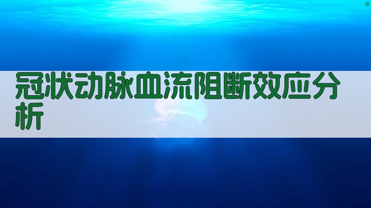 AI冠状动脉血流阻断效应分析