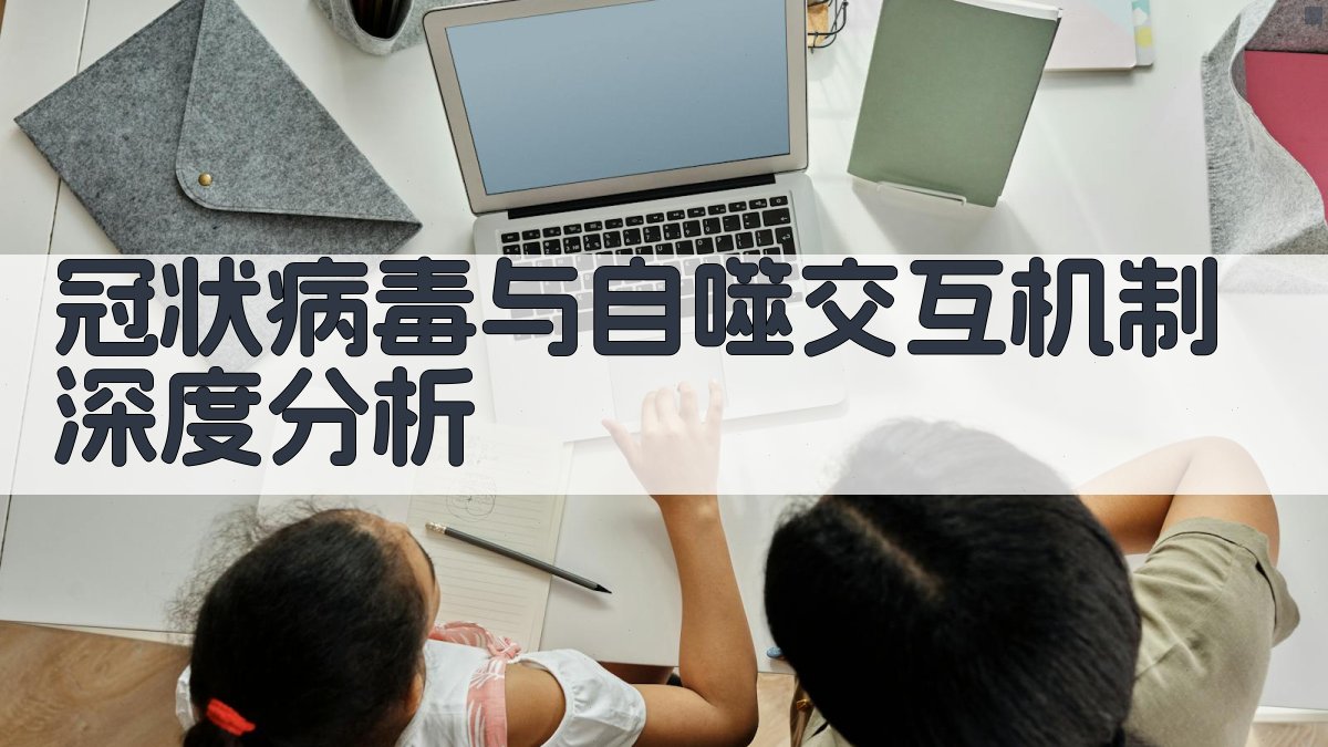 冠状病毒与自噬交互机制深度分析