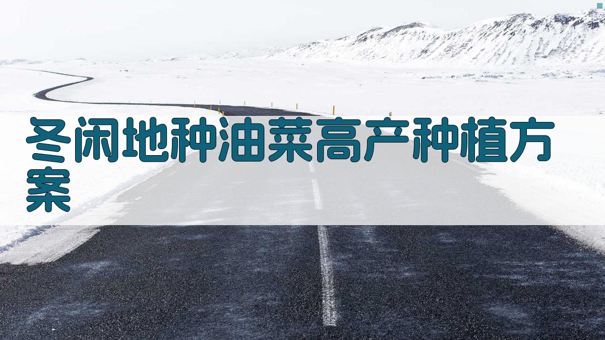 冬闲地种油菜高产种植方案