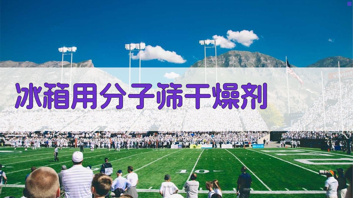 冰箱用分子筛干燥剂