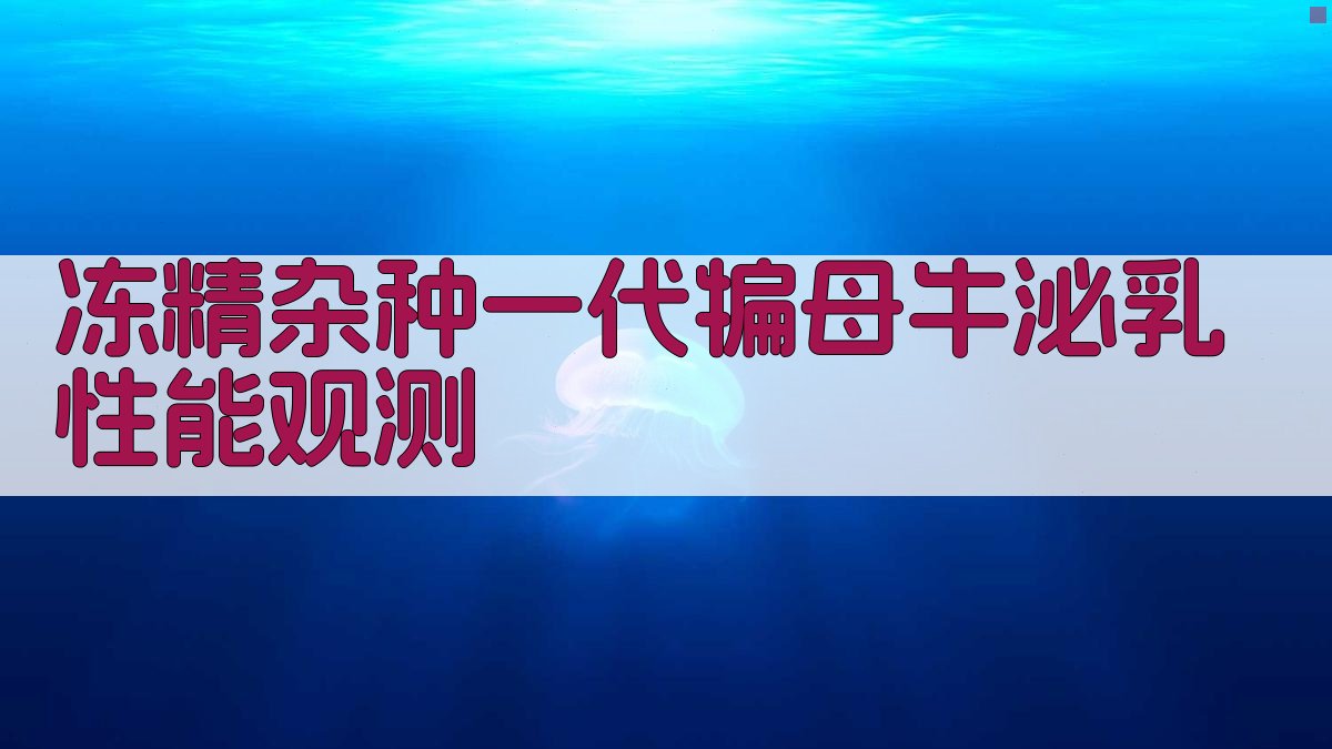 AI冻精杂种一代犏母牛泌乳性能观测
