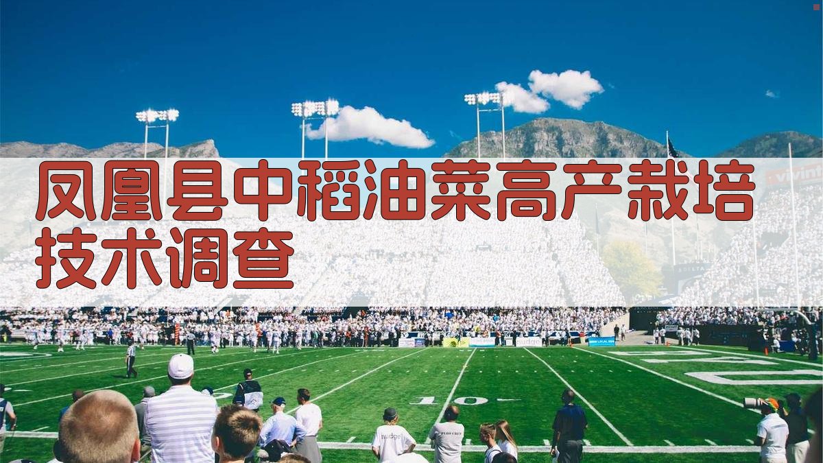 凤凰县中稻油菜高产栽培技术调查