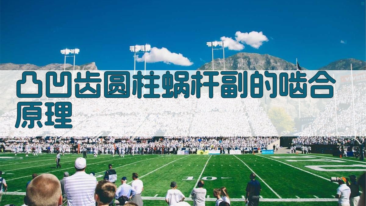凸凹齿圆柱蜗杆副的啮合原理