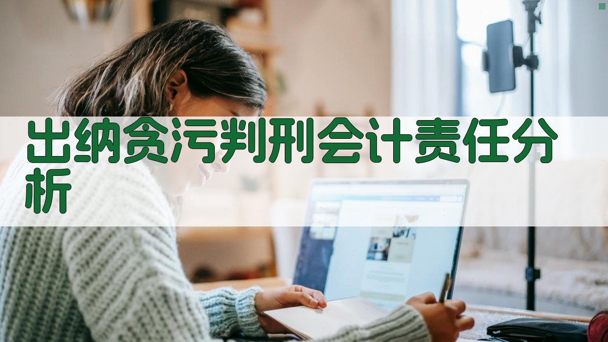 AI出纳贪污判刑会计责任分析