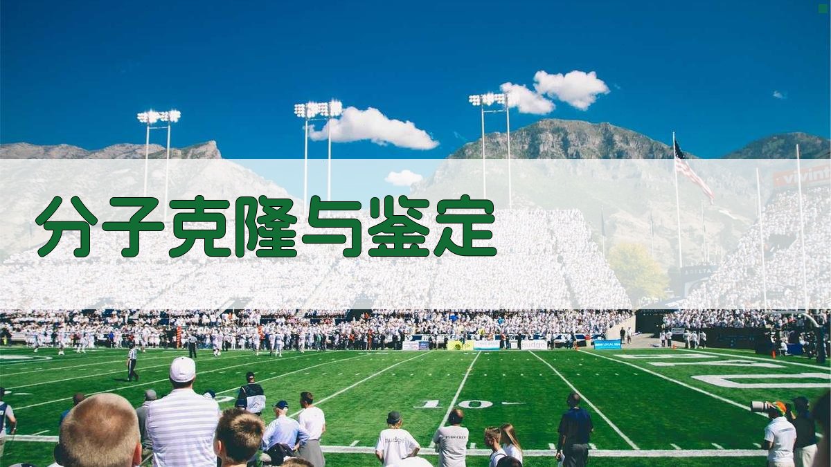 分子克隆与鉴定