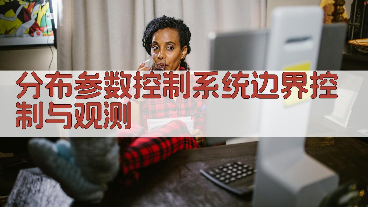 AI智能分布参数控制系统边界控制与观测设计