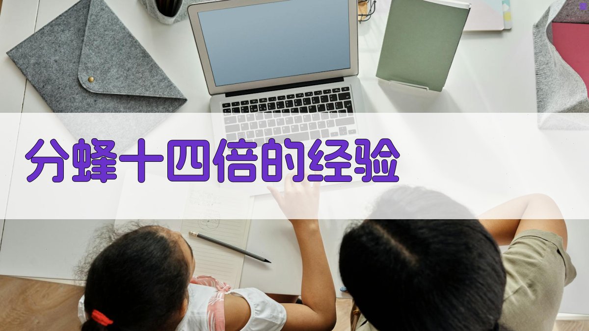 分蜂十四倍的经验智能分析