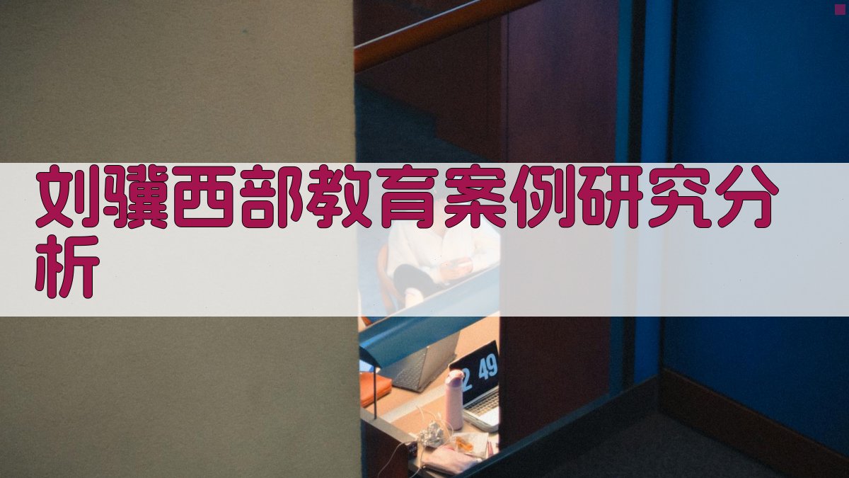 AI刘骥西部教育案例研究分析