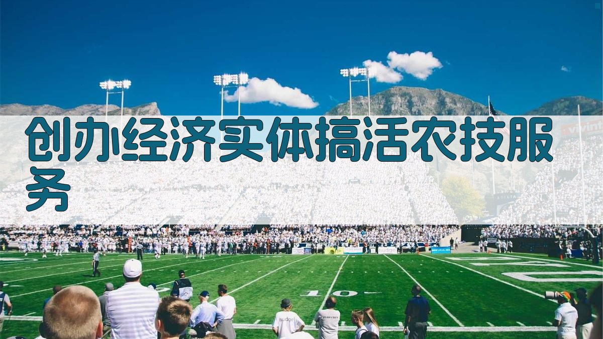 创办经济实体搞活农技服务