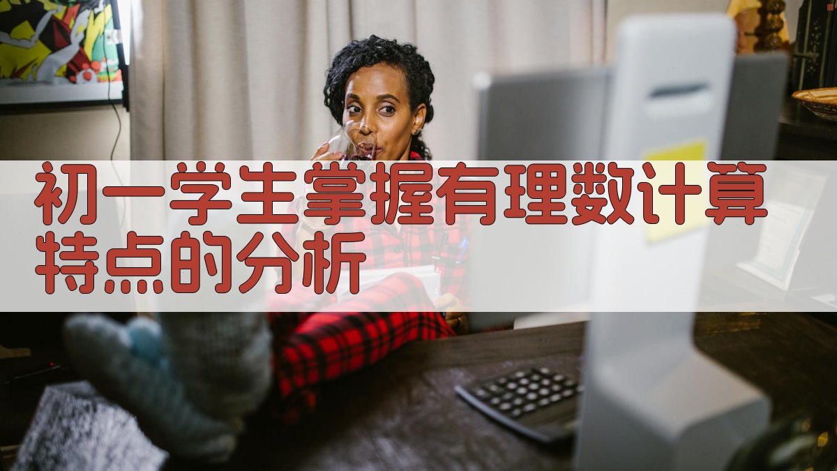 AI有理数计算特点分析