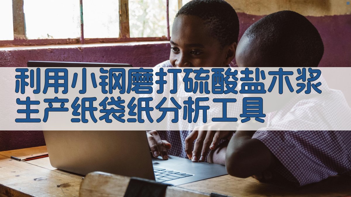 利用小钢磨打硫酸盐木浆生产纸袋纸分析工具