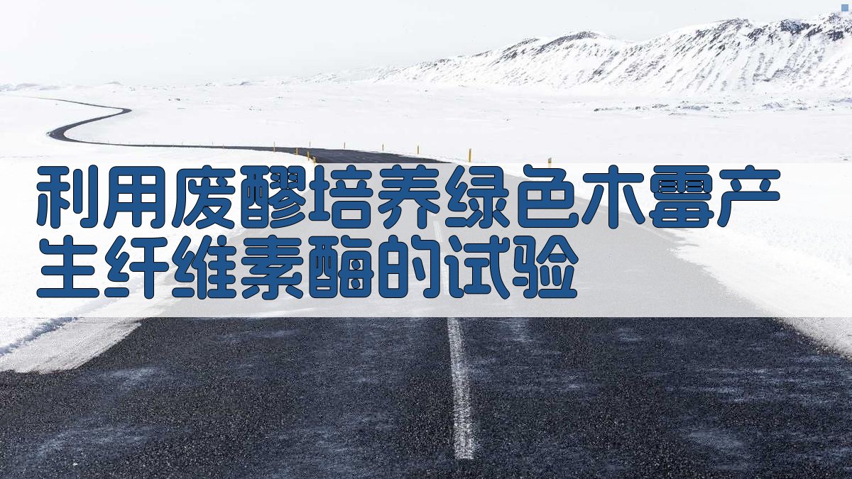 利用废醪培养绿色木霉产生纤维素酶的试验