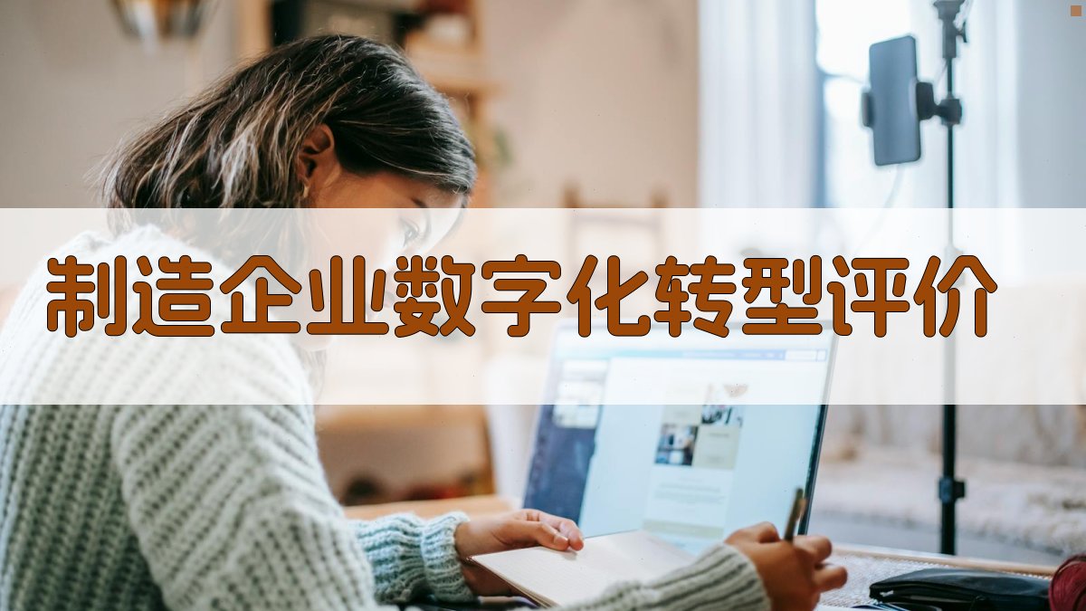 制造企业数字化转型发展评价与提升机制研究