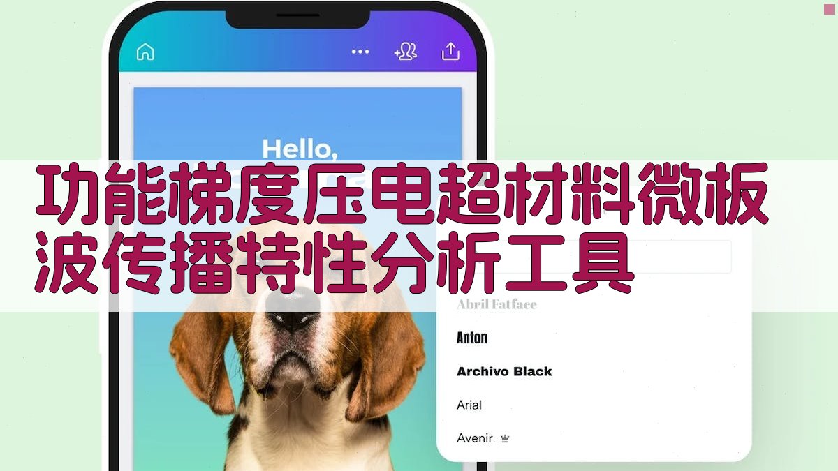 功能梯度压电超材料微板波传播特性分析工具