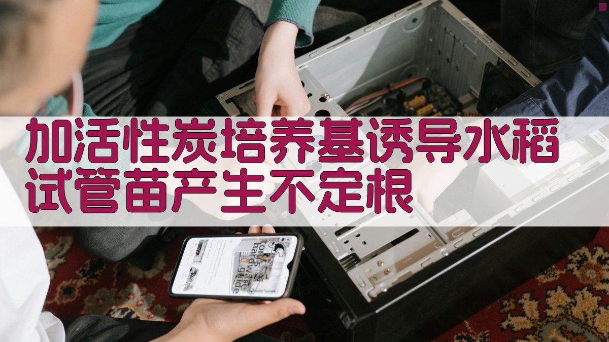 加活性炭培养基诱导水稻试管苗产生不定根