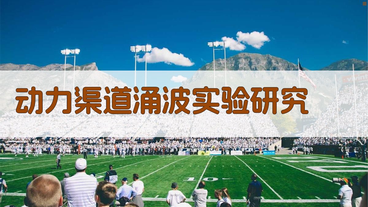 AI动力渠道涌波实验研究助手