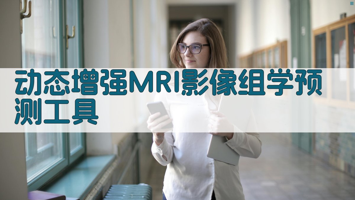 动态增强MRI影像组学预测工具