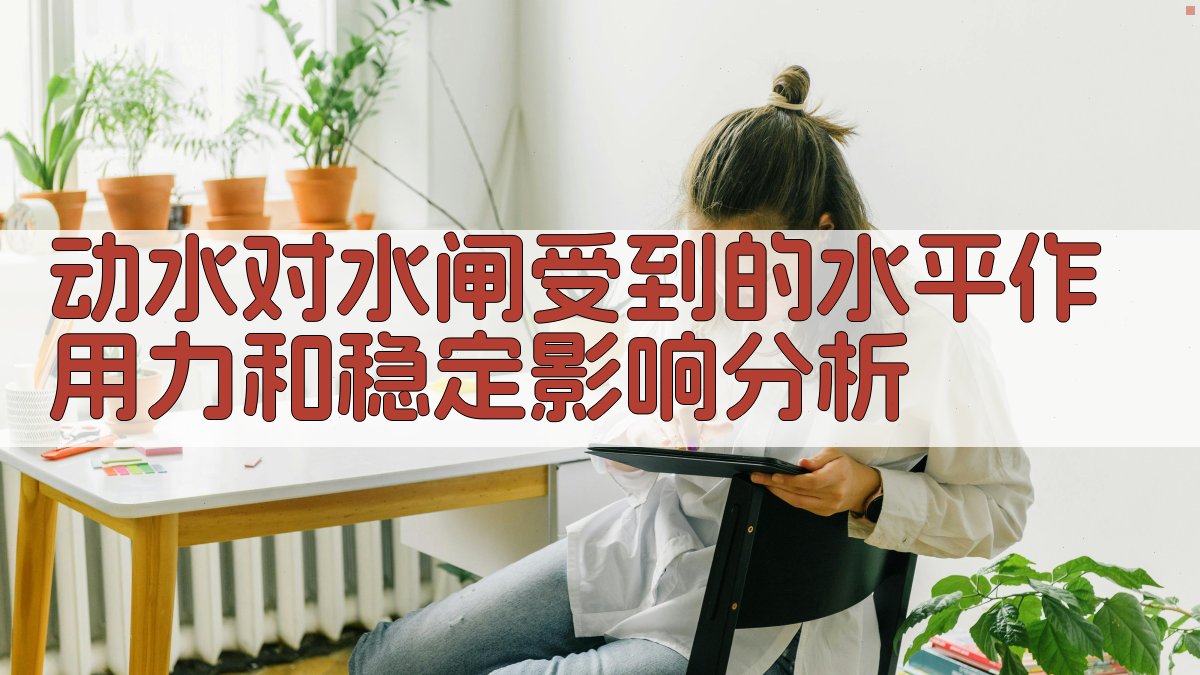 动水水闸受力与稳定性分析