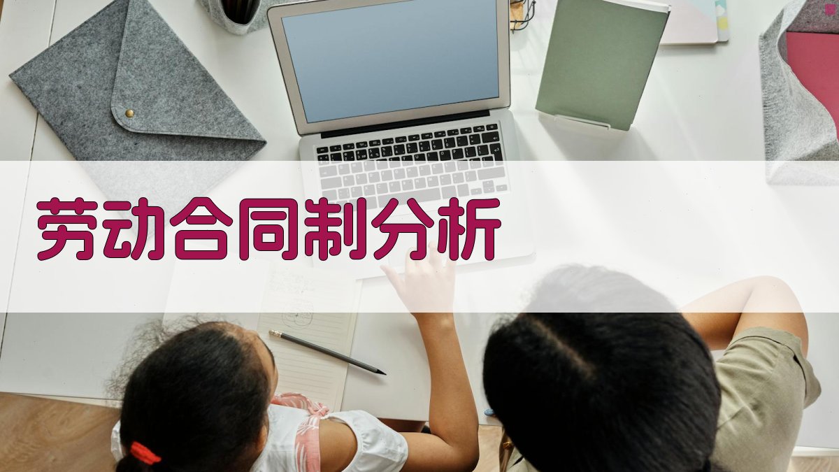 AI劳动合同制实施分析工具