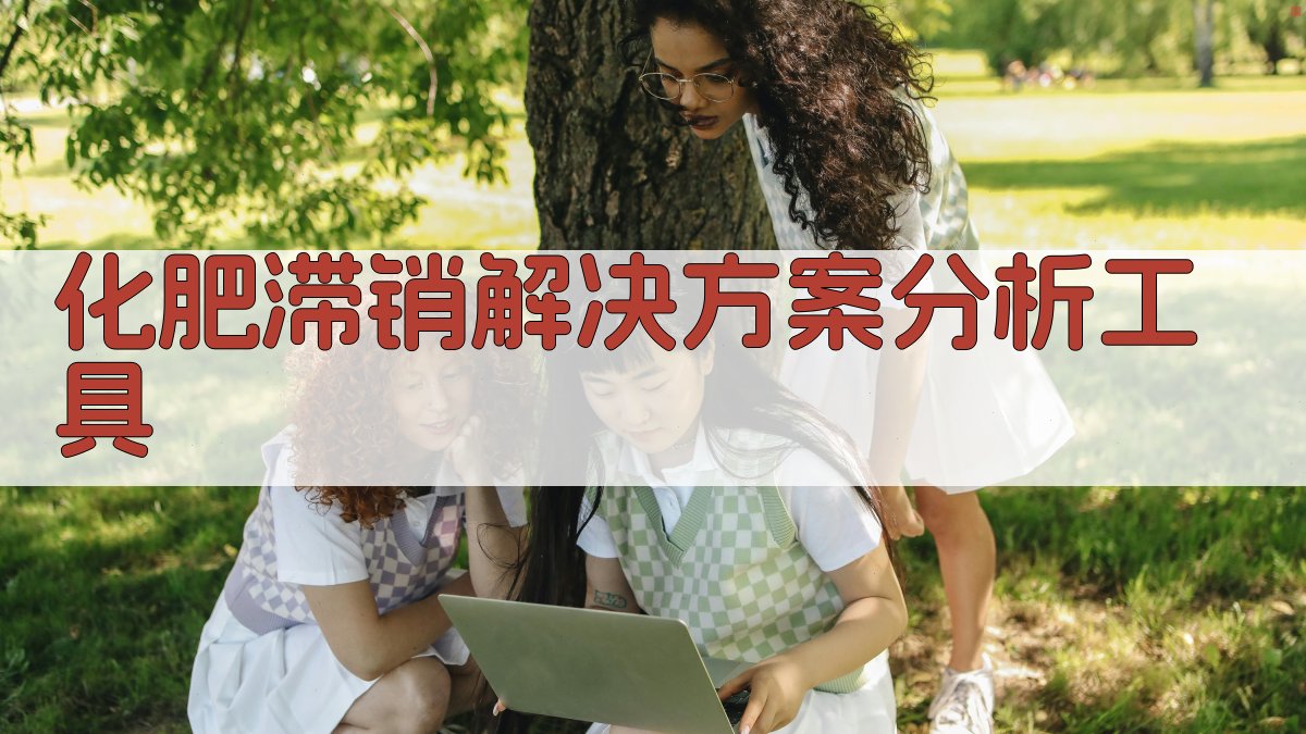 化肥滞销解决方案分析工具