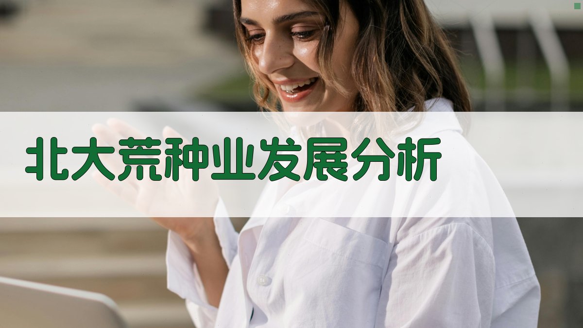 AI智能北大荒种业发展分析报告生成器